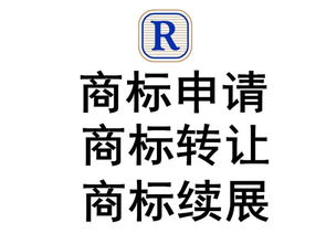 深圳羅湖專利轉讓與商標專利 技術轉化的橋梁與機遇